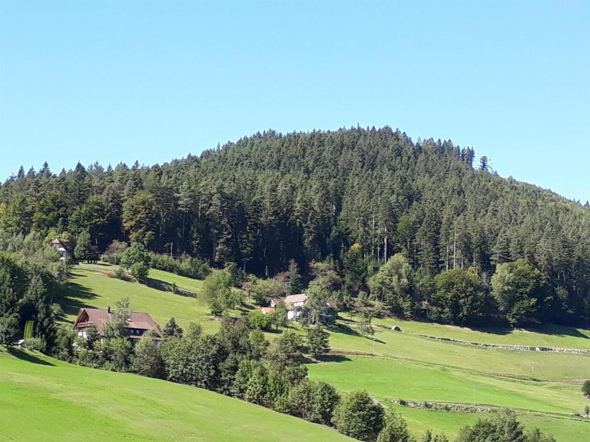 Isoldes Landhaus Baiersbronn Exteriér fotografie